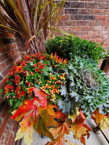 592ac598-dfce-4fbd-b2c5-bc7732b4fecf