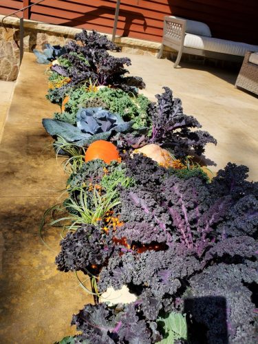 a6ce8269-d636-488c-845e-d93ec72af4b8