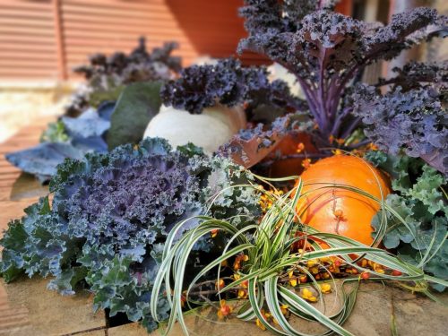 b23c8385-283e-4385-960b-c23318ec7912