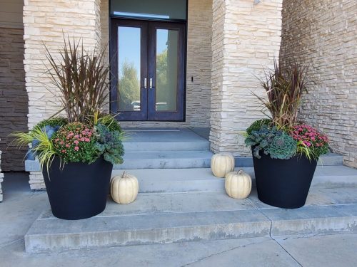 cb9f6134-219c-41b1-9566-ce287726a015