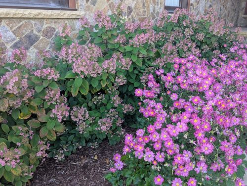 d662ee35-3304-4e66-bc68-5117fc872211