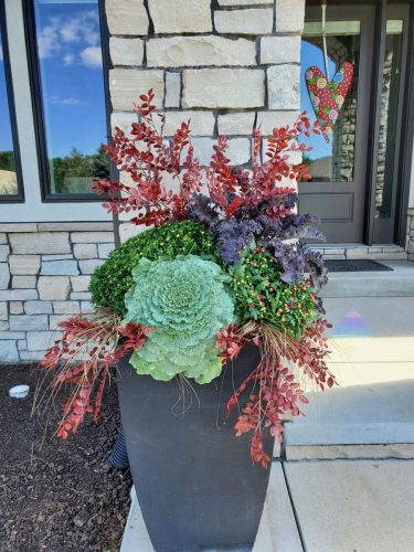 d755acd6-7180-4815-a3ba-8e19a05a47de