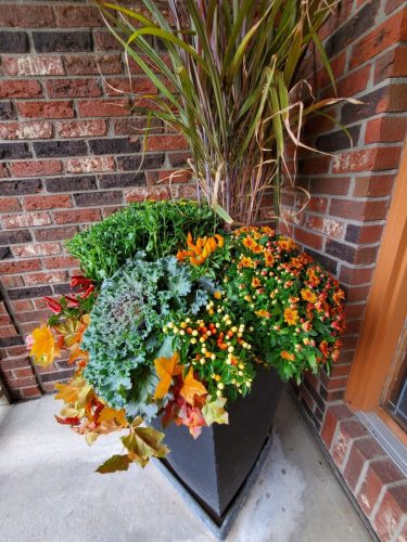 dc1f65ac-7a76-45ef-8e83-1ab3aa1efb68